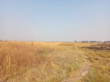 Farm & Agricultural Land