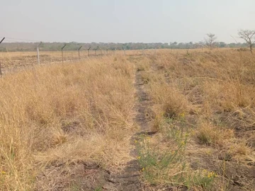 Farm & Agricultural Land