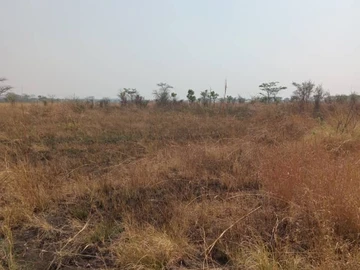 Farm & Agricultural Land