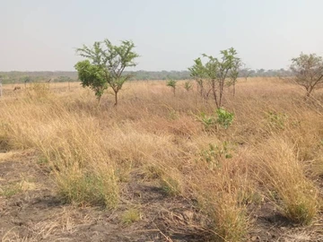 Farm & Agricultural Land