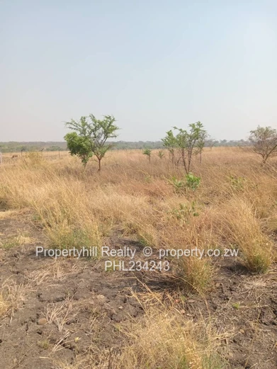 Chegutu Selous Agro-Residential Plot (Sole Mandate)