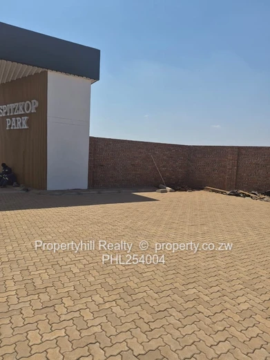 Spitzkop Park (Sole Mandate)