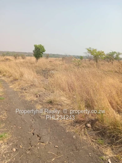 Chegutu Selous Agro-Residential Plot (Sole Mandate)