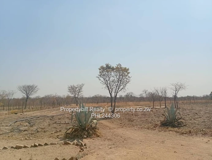 10,000 m² Chegutu Land with Existing Dwelling & Borehole