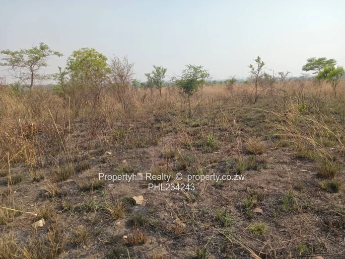 Chegutu Selous Agro-Residential Plot (Sole Mandate)