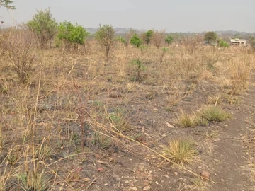 Farm & Agricultural Land