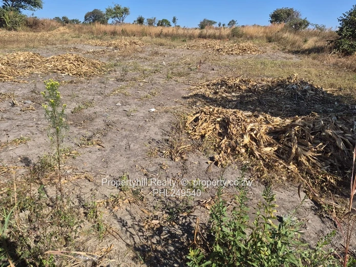 Pomona : Buckland Terraces (Sole Mandate)