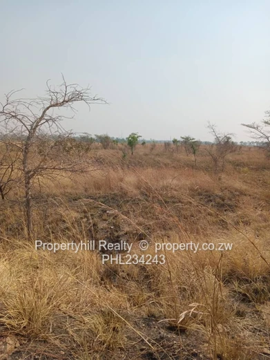 Chegutu Selous Agro-Residential Plot (Sole Mandate)