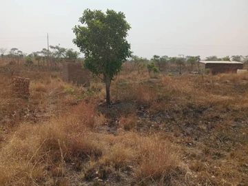 Farm & Agricultural Land