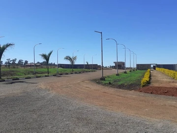 Land