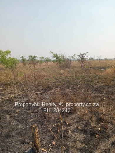 Chegutu Selous Agro-Residential Plot (Sole Mandate)