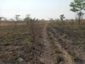 Farm & Agricultural Land