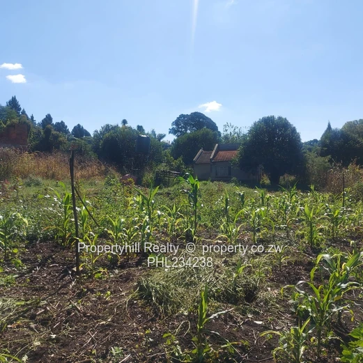 Mandara Incomplete double storey house  with a 2 bed cottage (Sole Mandate)